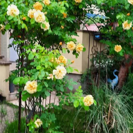 Apartamento Veronika *