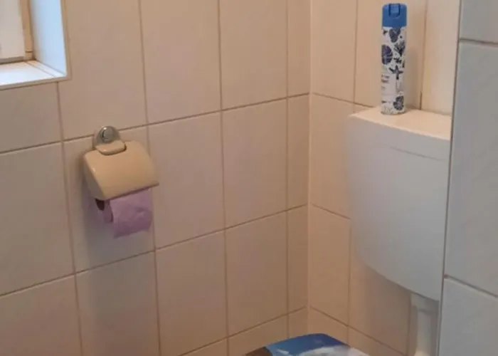 Veronika فروهينليتين