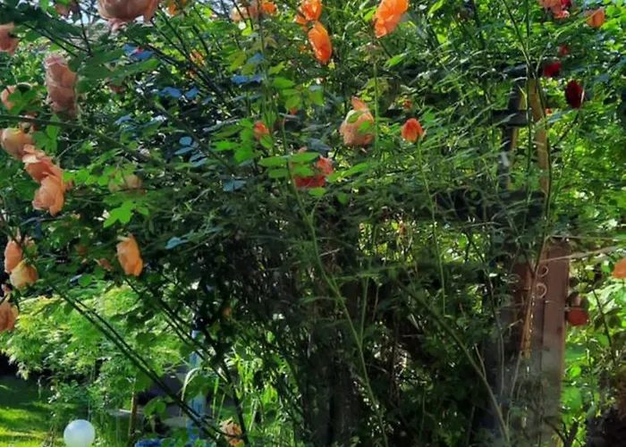 Διαμέρισμα Veronika *