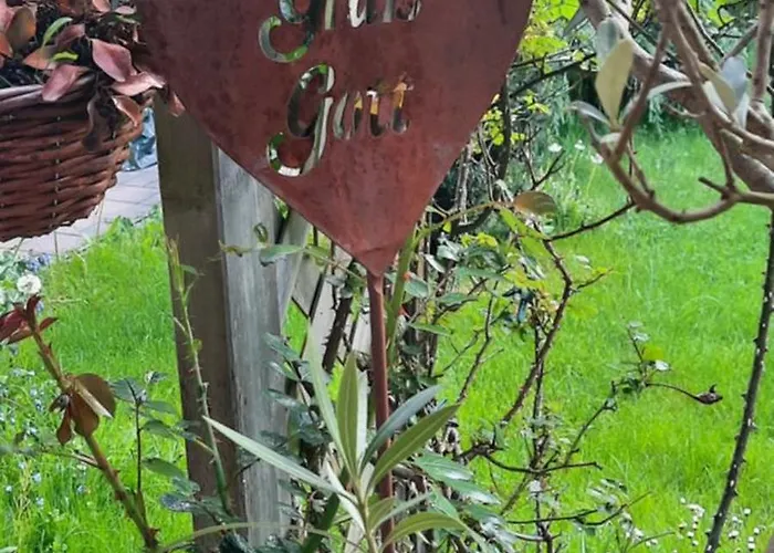 Veronika Frohnleiten